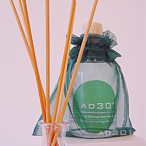 13_Menta Piperita - AD301 Luxury Ambient Fragrance Diffusore di Fragranza d' Ambiente - Senza Alcool